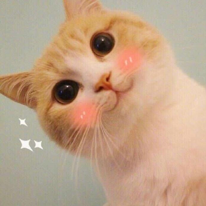 甜甜圈不甜