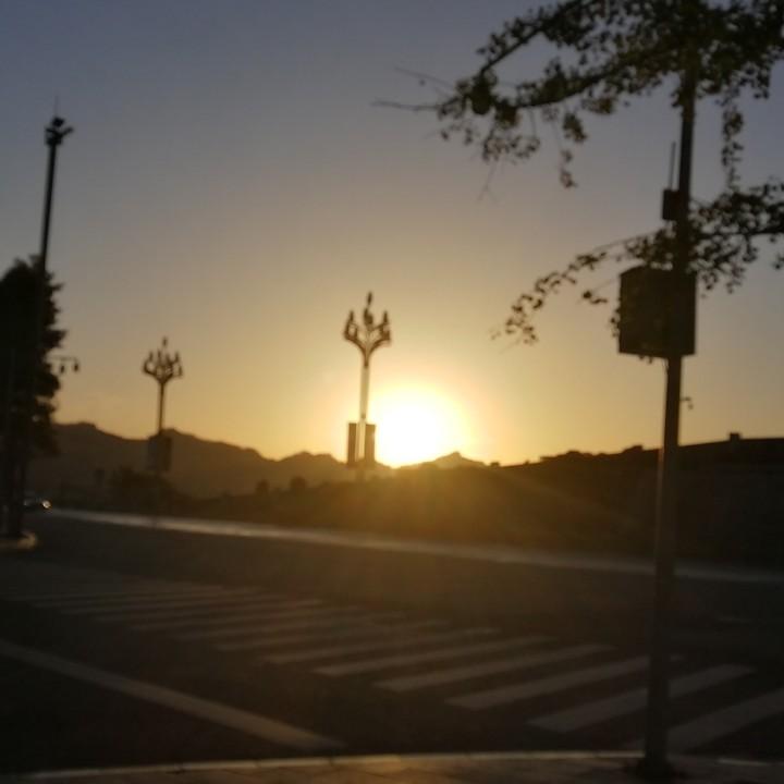 鱼疯子