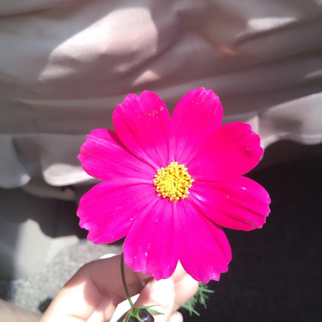 白开水
