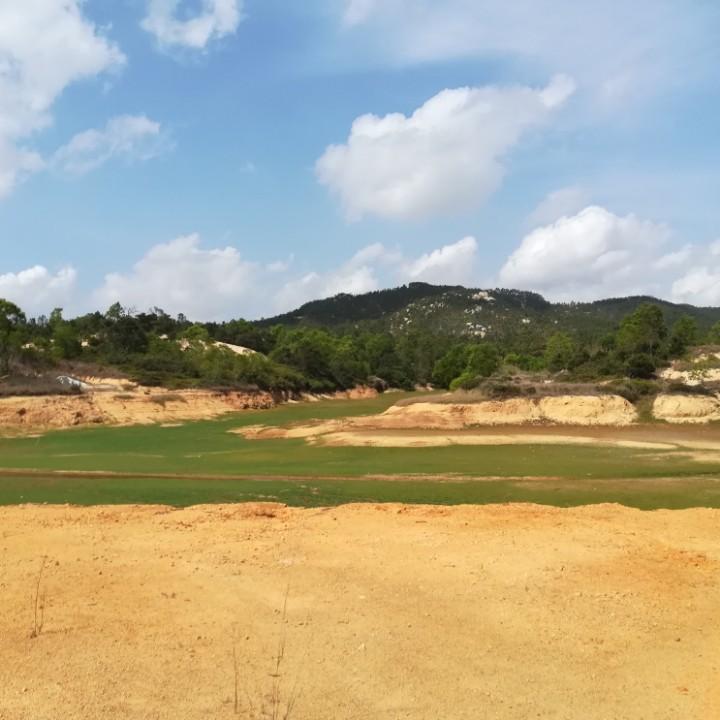 曾肥仔