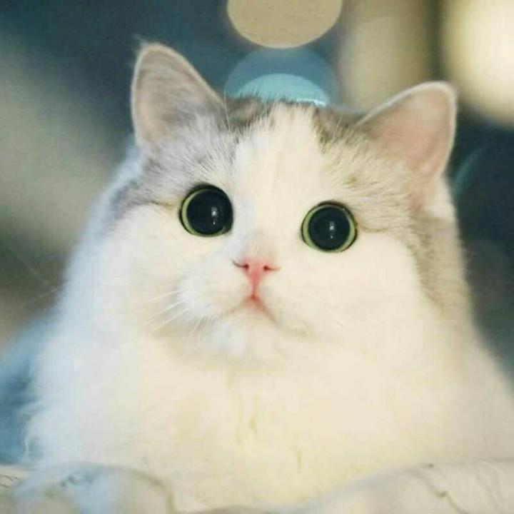 🌈🌈初壹