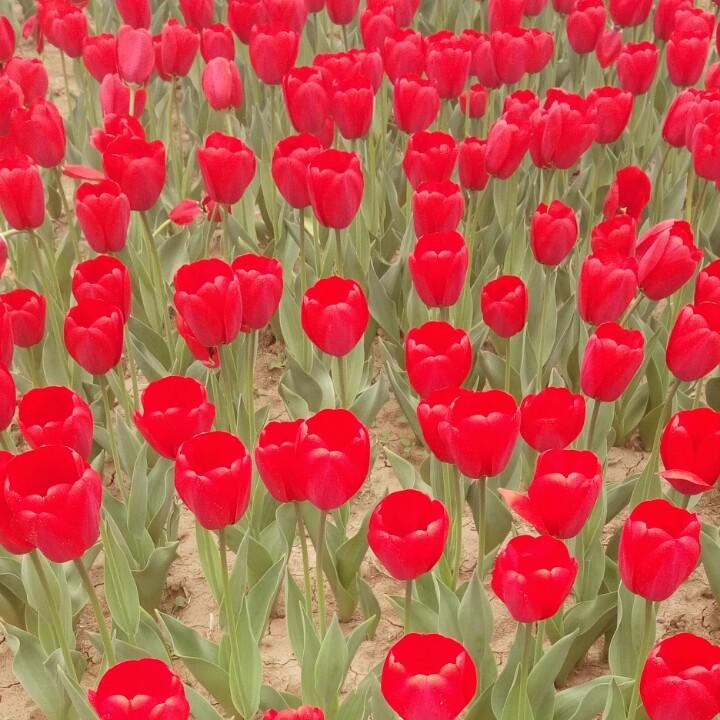 向-^O^阳