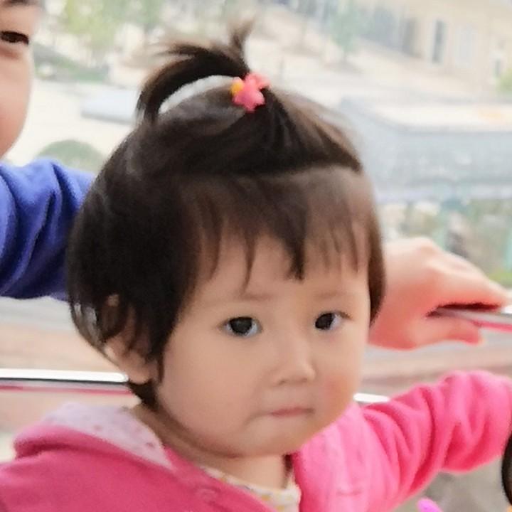 精忠龙魂