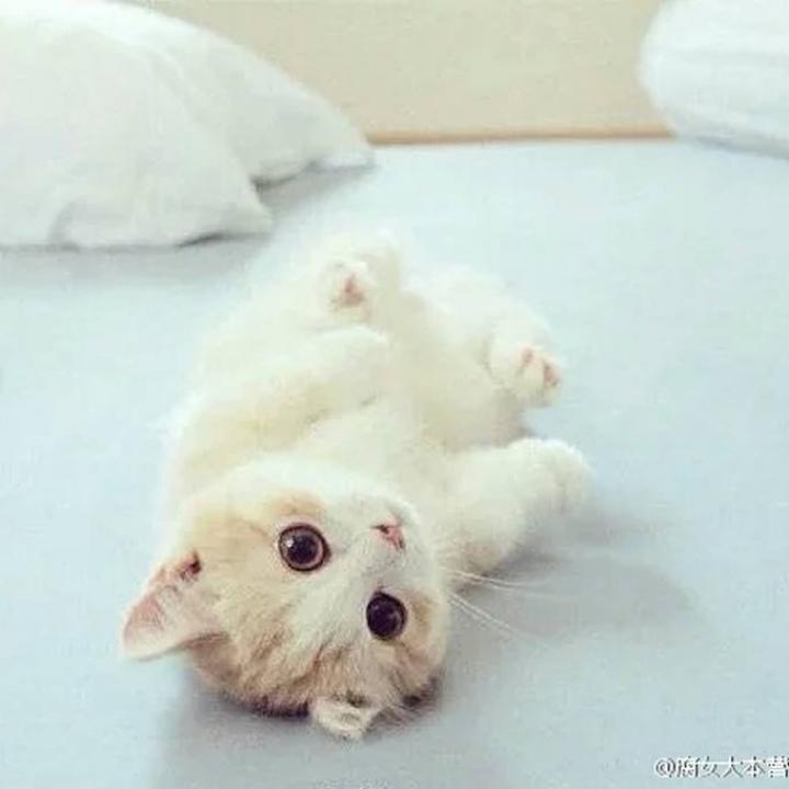 你若安好便是晴天