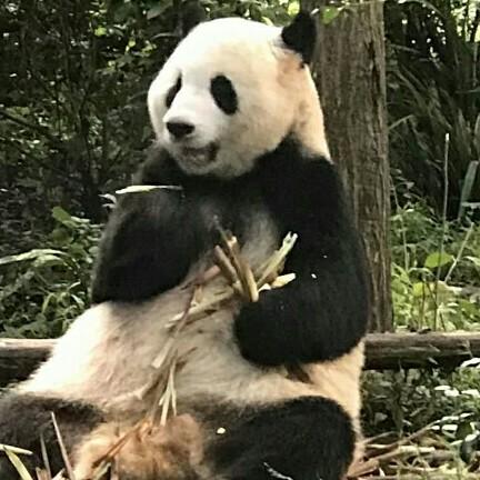 虎哥哥｛132｝