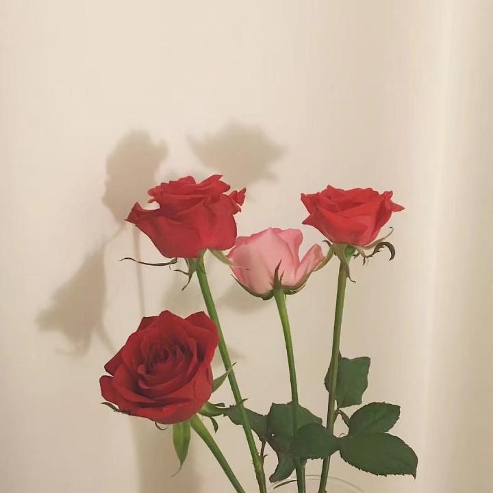 清  风  伴  酒  °