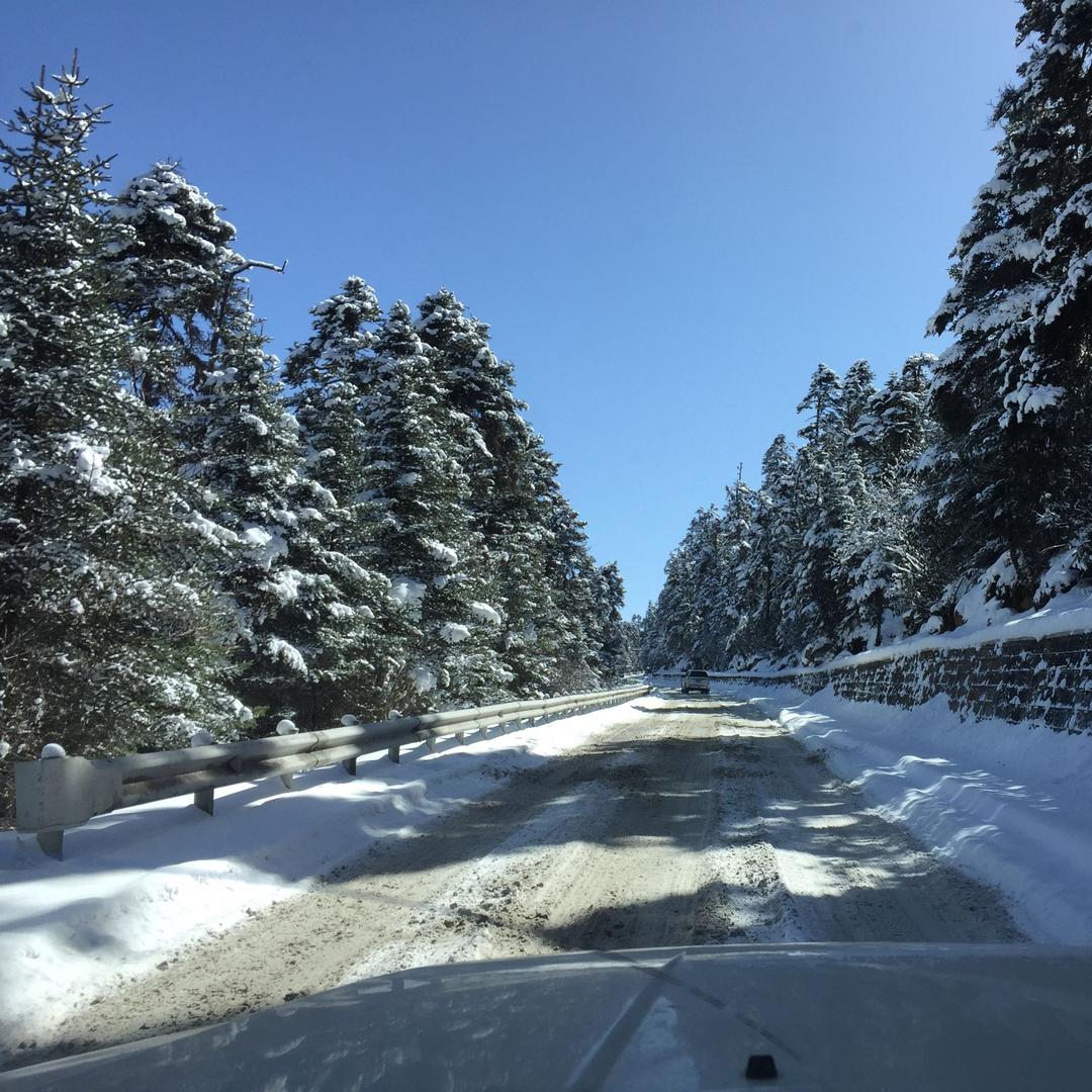 烟花易冷 人事易分