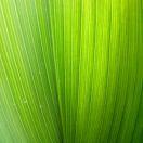 黄河岸◈读懂孟州