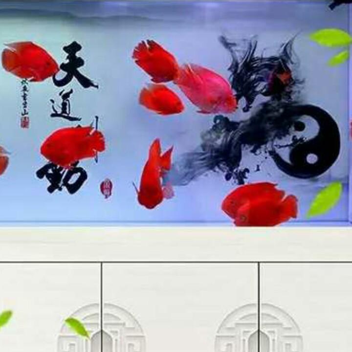 项城梧桐路🐠鱼缸🐠观赏鱼🐠