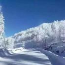 长白山保护开发区池北太子道御足分店