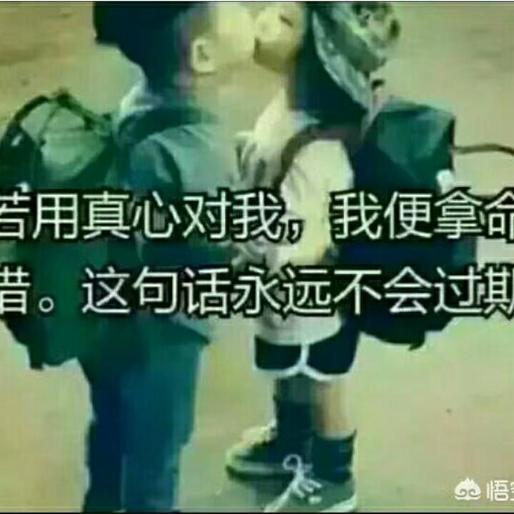春花秋月