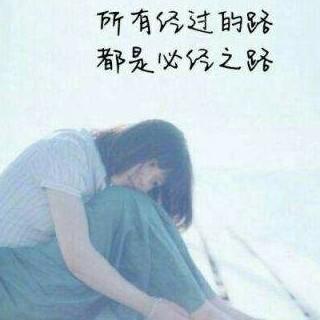 心向星光