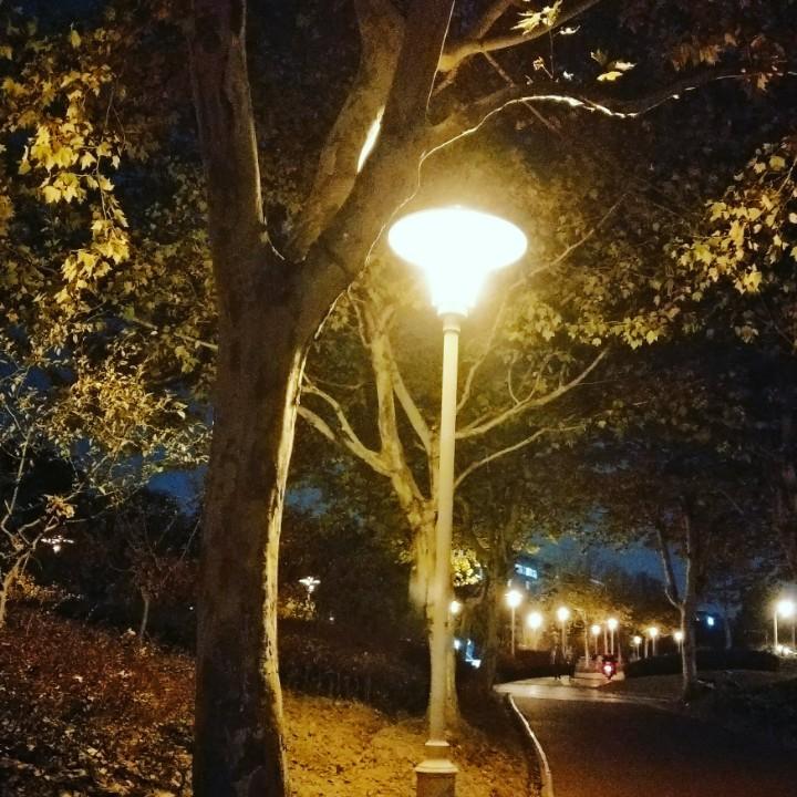 木木熊和小飞侠