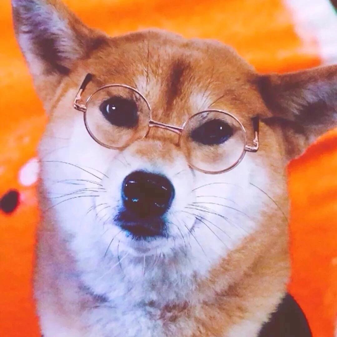 jiayou a chunyu