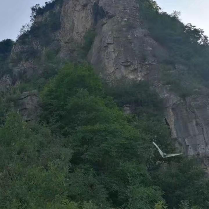 一米阳光-
