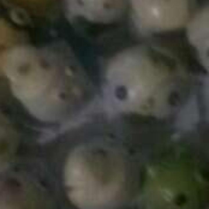 涛声依旧