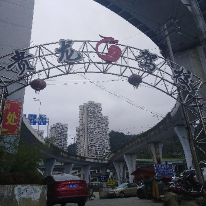 只想一生跟你走