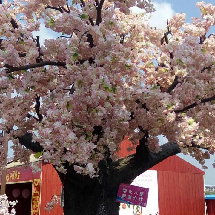 ꧁꫞爱*利꫞꧂🥀¥۵⃟᭄ོꦿ࿐