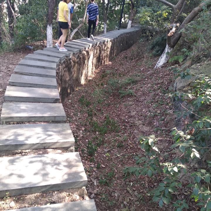 燕