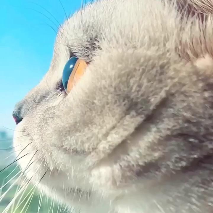 🌈帅的人不说话          🪳