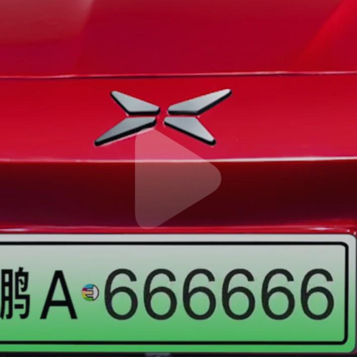 冬