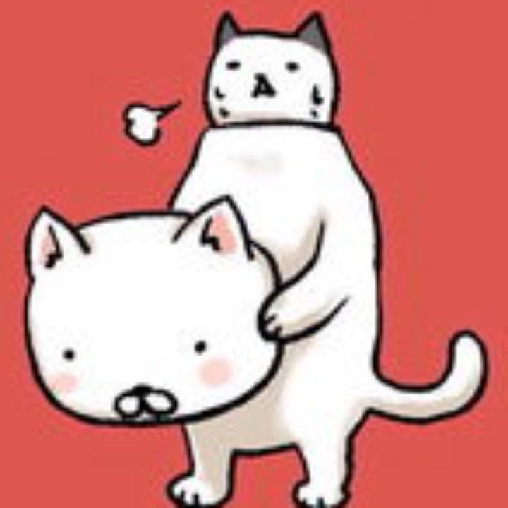 波儿闪光