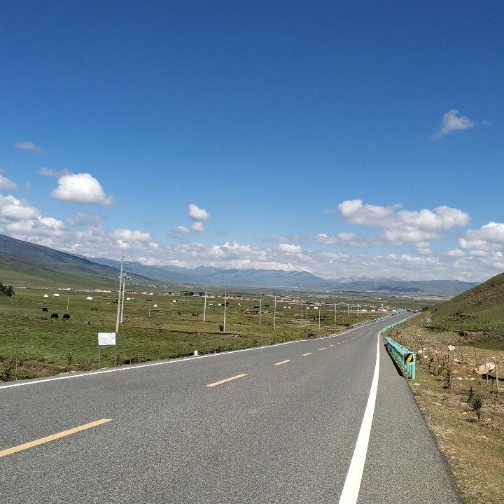 放縱不羈愛自由