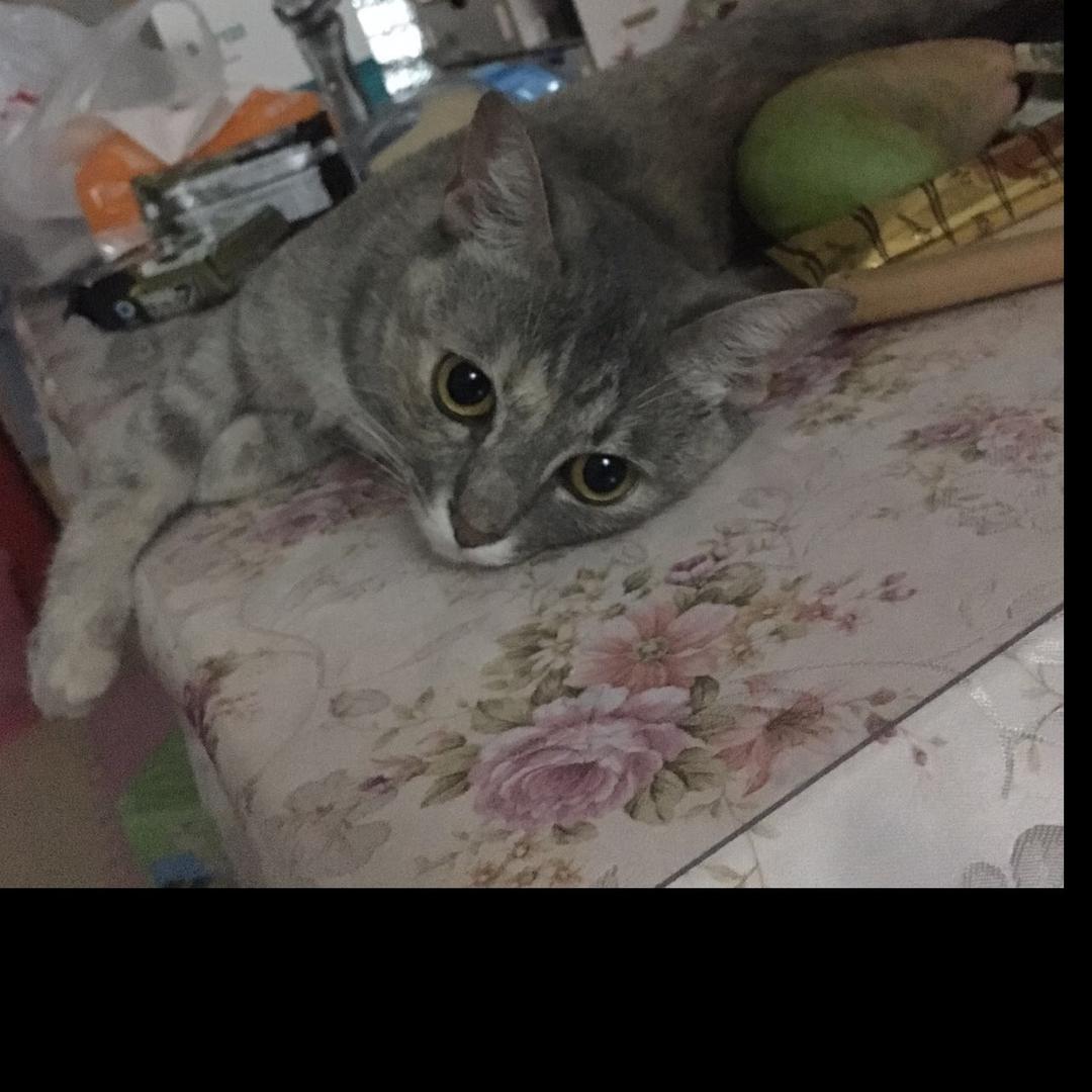 向往美好的生活