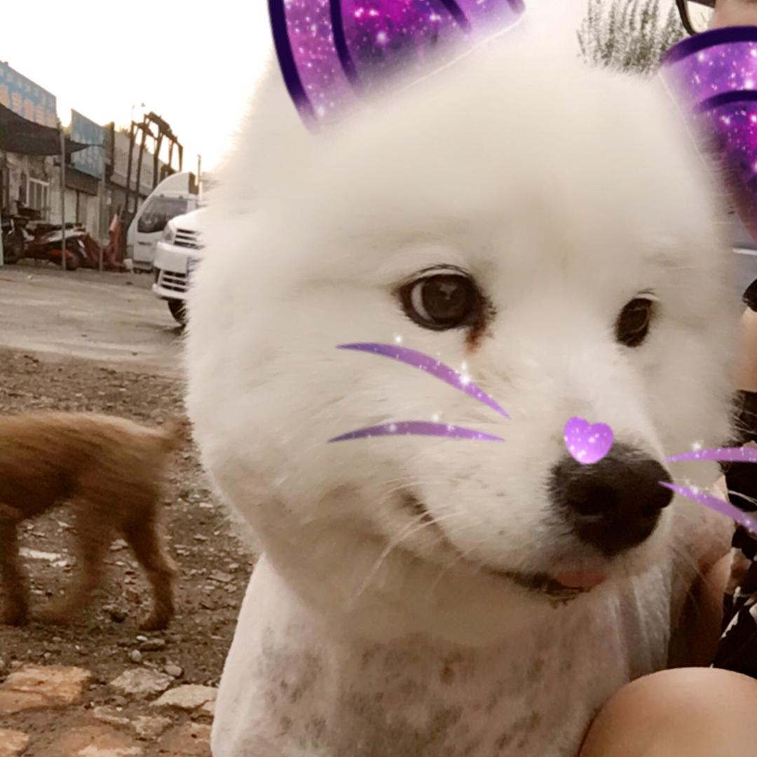 琪琪