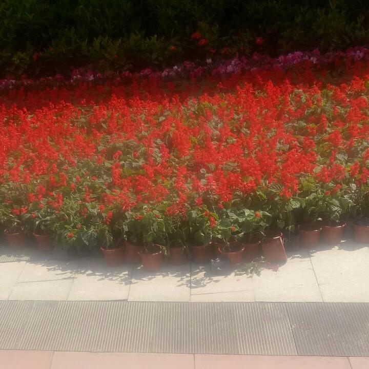平安是福