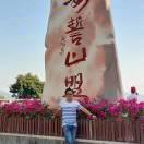 静观人生