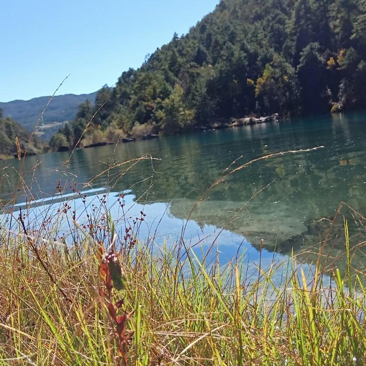 🌺晨*晨