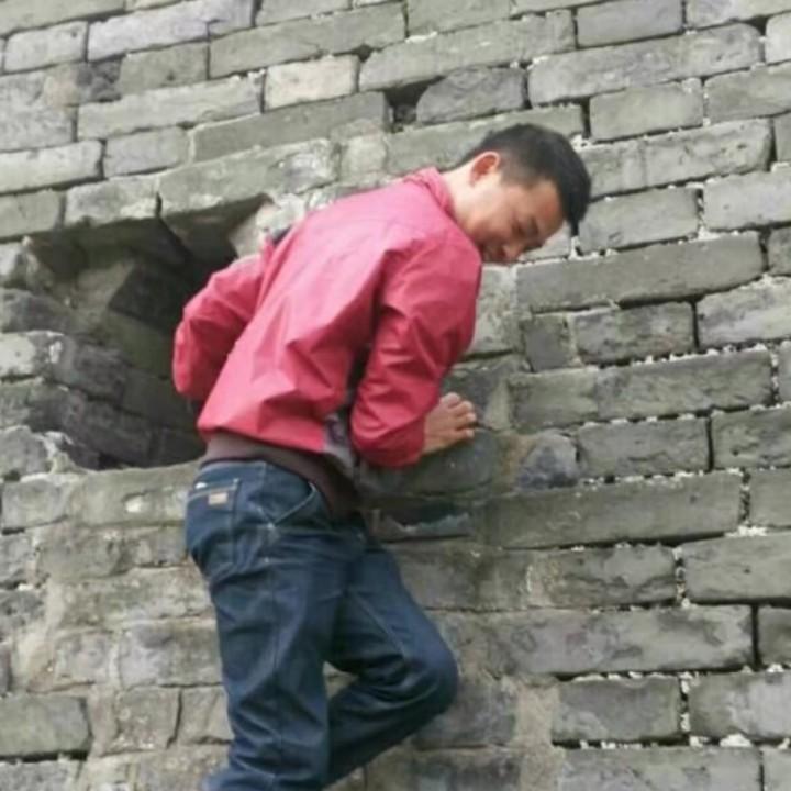 杨发