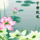 春浩装饰