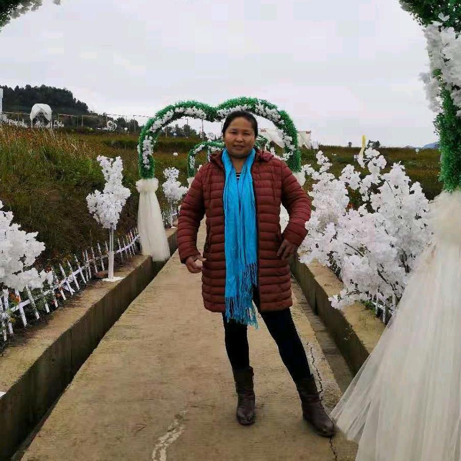 美丽
