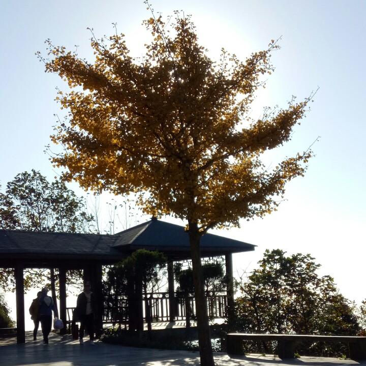 恒业装饰常宁分公司