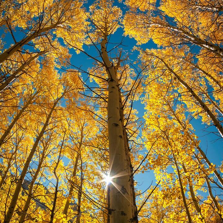 🍂落叶🍂