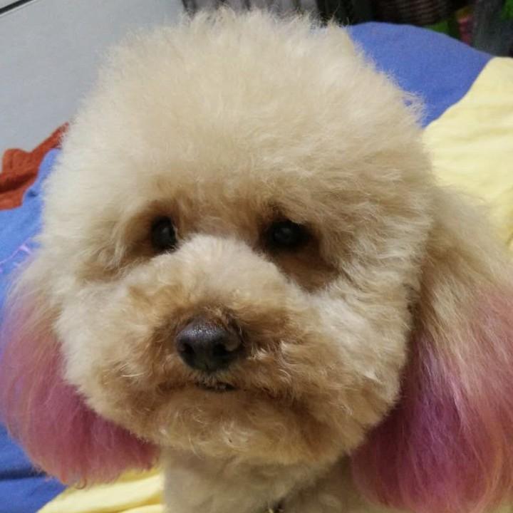 小林
