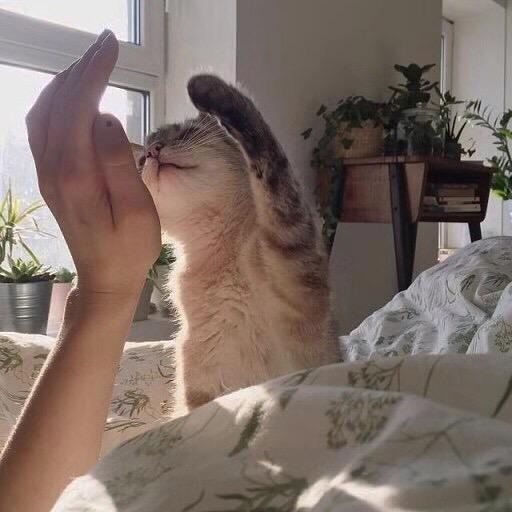 怪i