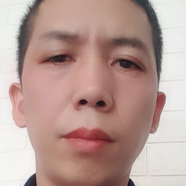 杨杨