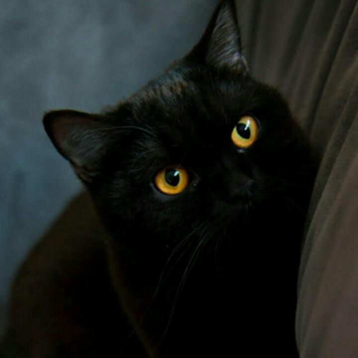 🌈 所见及是真我