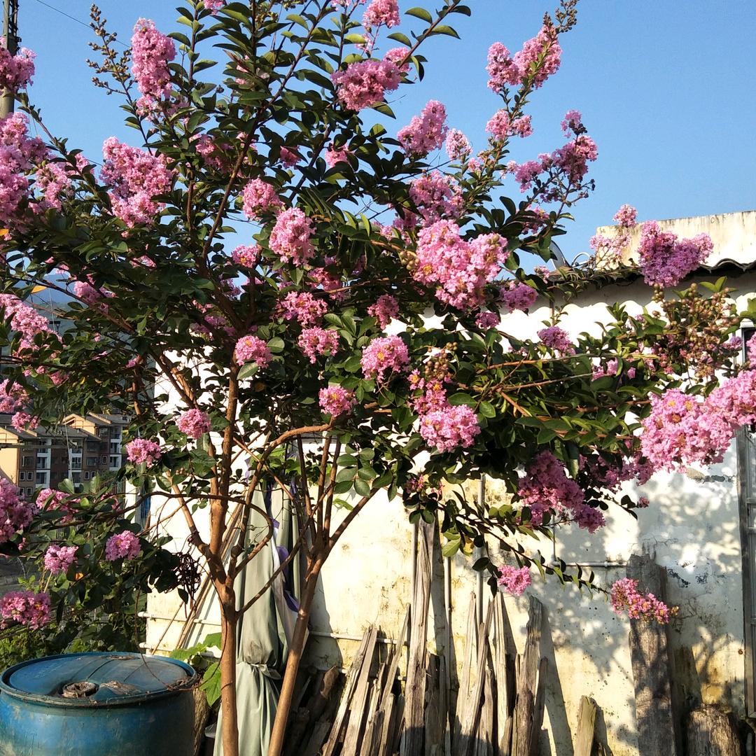 换个知试再来一次