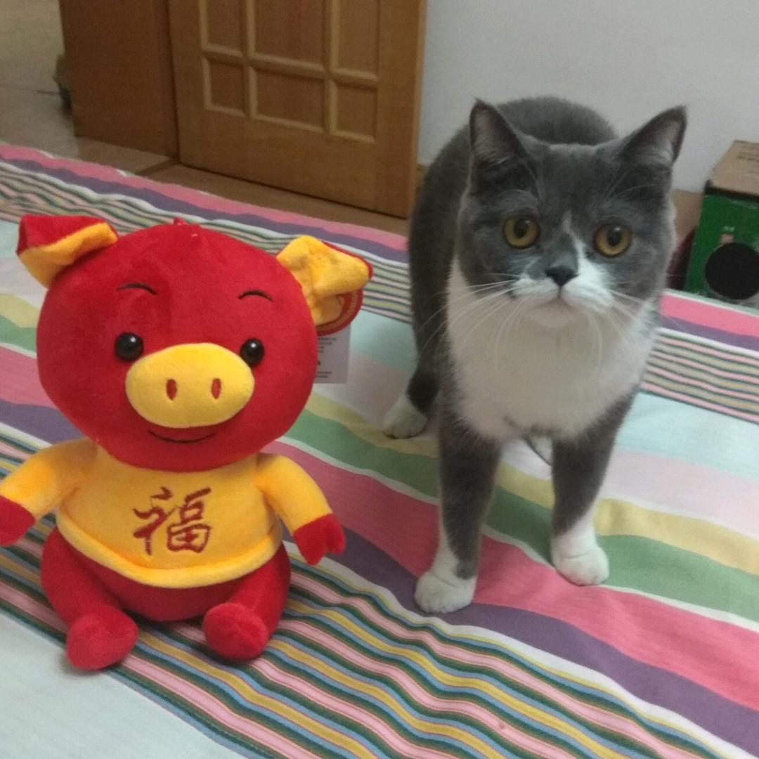 简单.就好