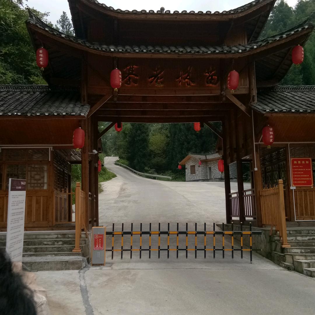 不用问