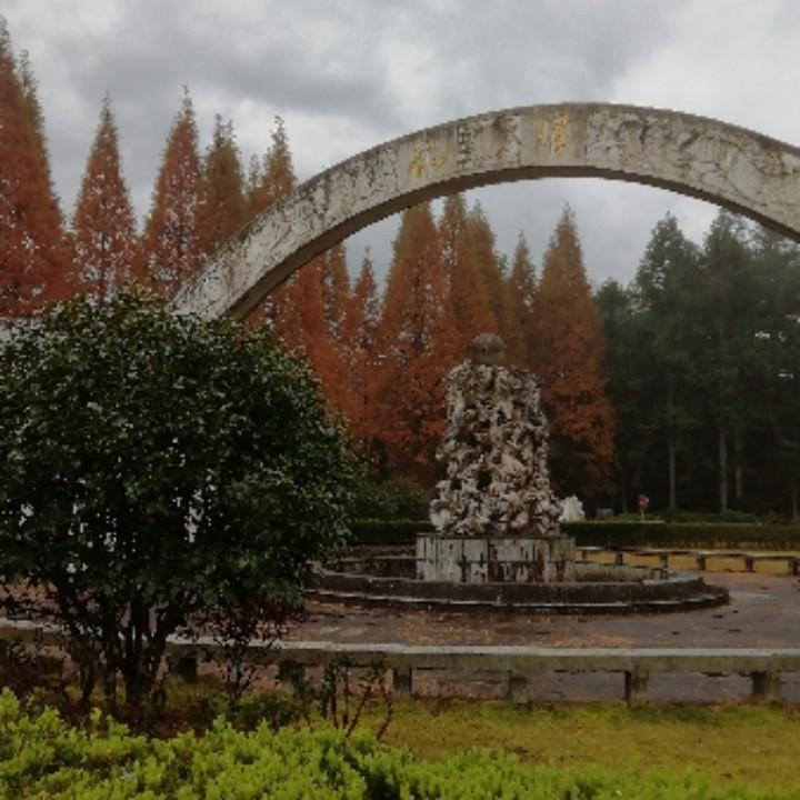 最普通的却无可代替