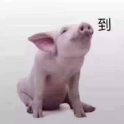 🌈果物果仓杰杰