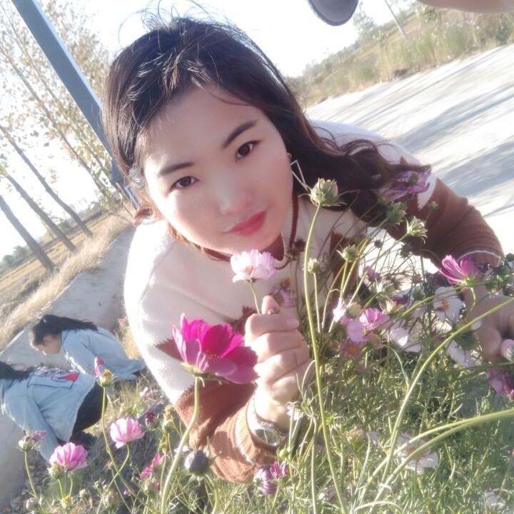 香水百合(息县项店)