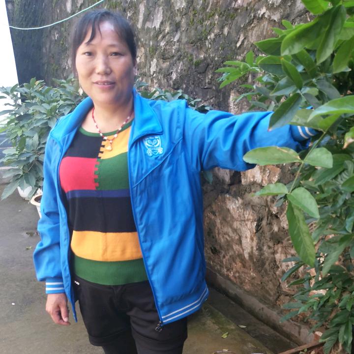一帆风顺