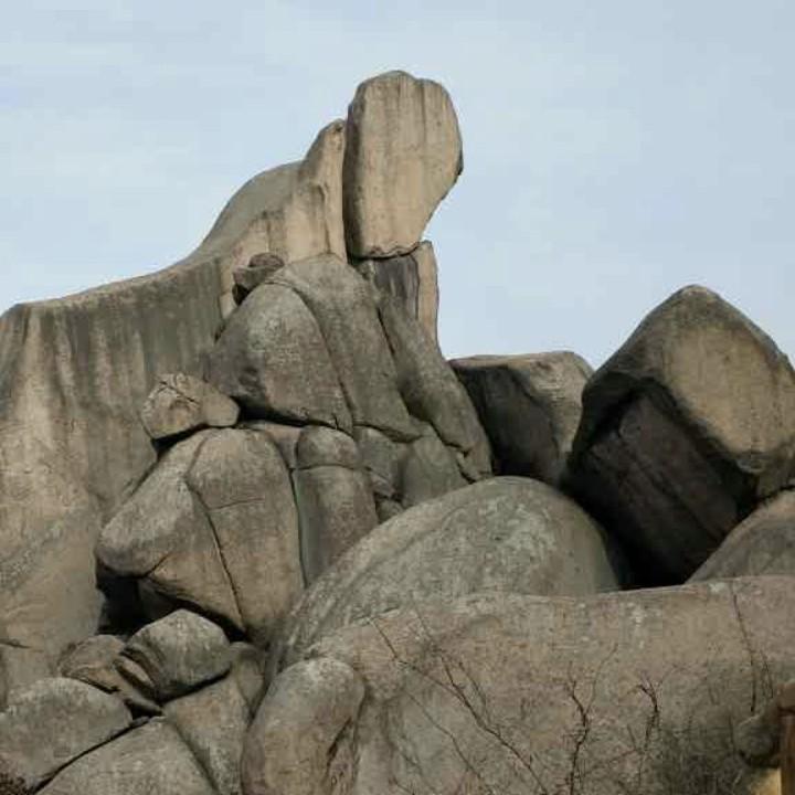 防盗门销售（王琦）