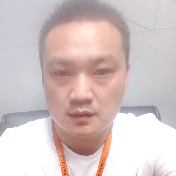 大象宜城特色菜